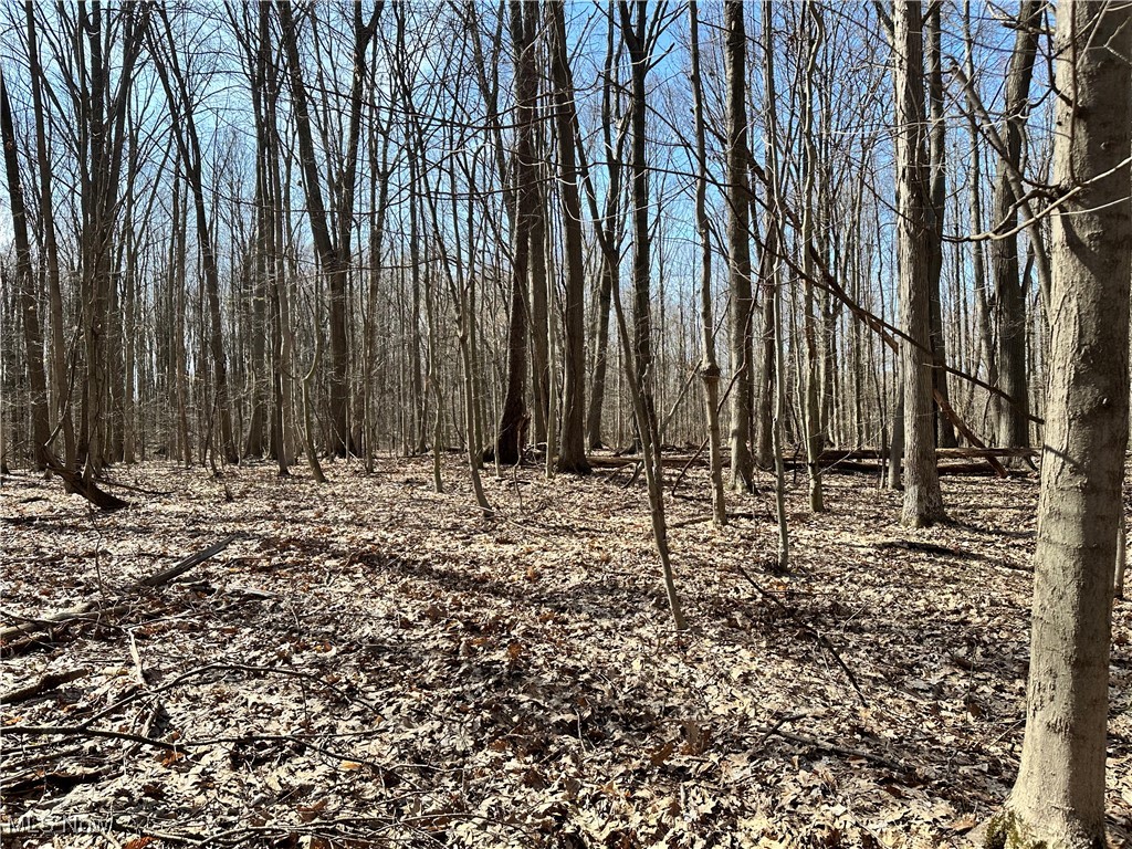 2832 Maple Road, Jefferson, Ohio image 18