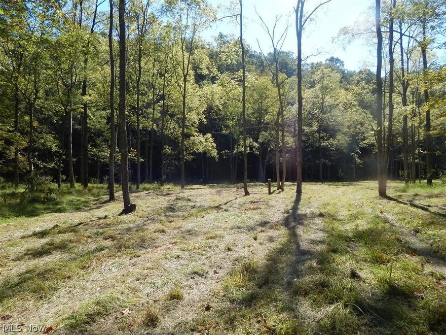 HUNTER’S HOLLOW! 
139 ACRES OF hunting and recreational property. Recently timbered, 4 wheel drive access and no utilities available. This one is for the primitive hunter.
