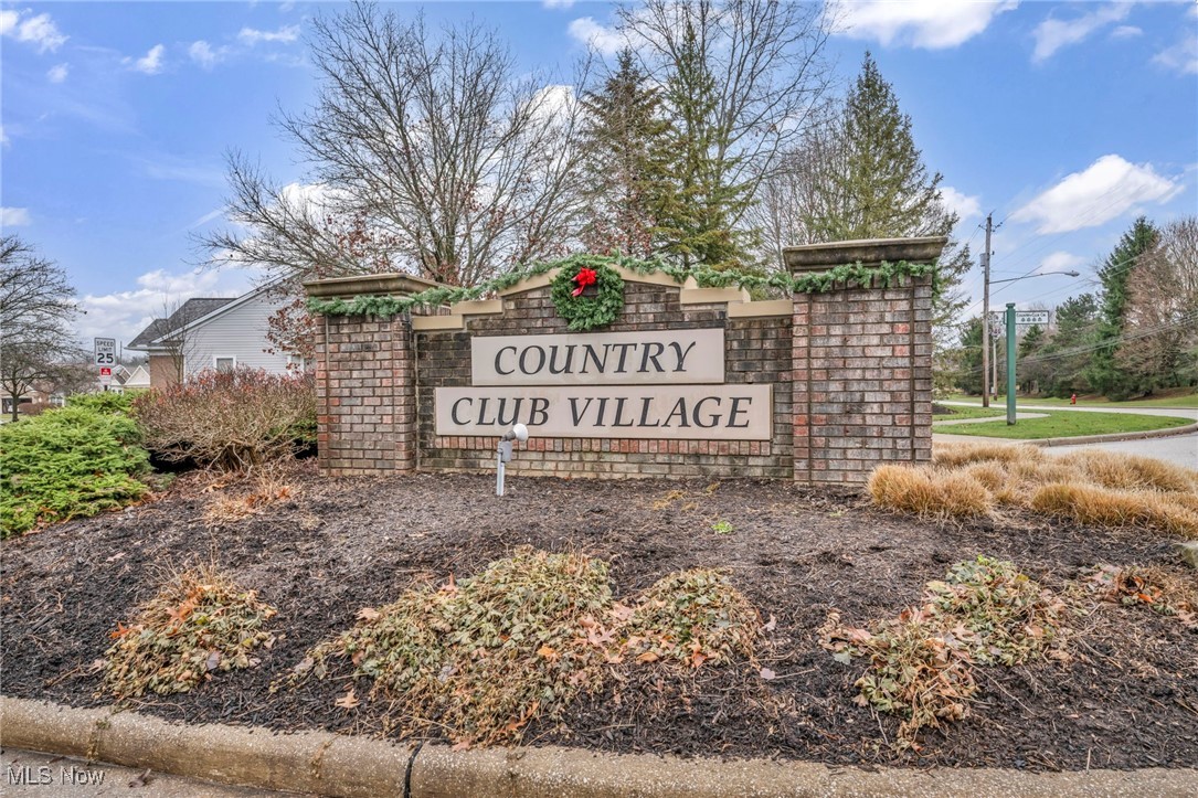 9838 Country Club Circle, Twinsburg, Ohio image 49