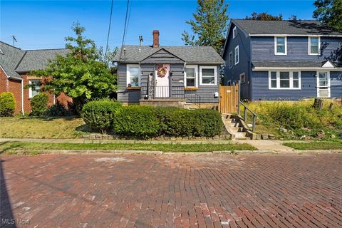 17607 Brazil Road Cleveland OH 44119