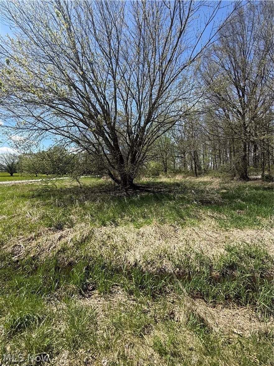 Build your dream home on this beautiful wooded 14-acre vacant land parcel. Located in Marshallville/Chippewa Twp., on the corner of Black Diamond and Warwick Roads, this property offers the ideal setting for a custom home, hobby farm, or private retreat with plenty of space and flexibility. Enjoy the benefits of rural living while still being within a convenient distance to shopping, dining, and major routes. Property is currently being split and is subject to final survey, township, and county approvals. Great opportunity for buyers, builders, or investors looking for land for sale in Wayne County, Ohio.
