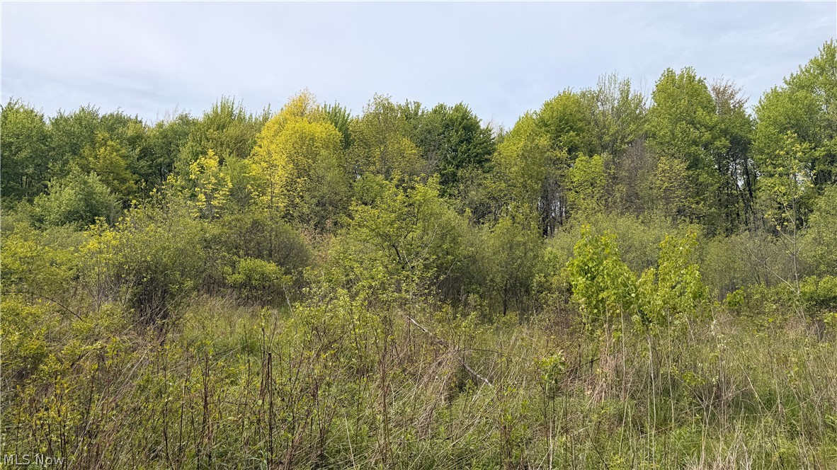Youngstown Kingsville Road
