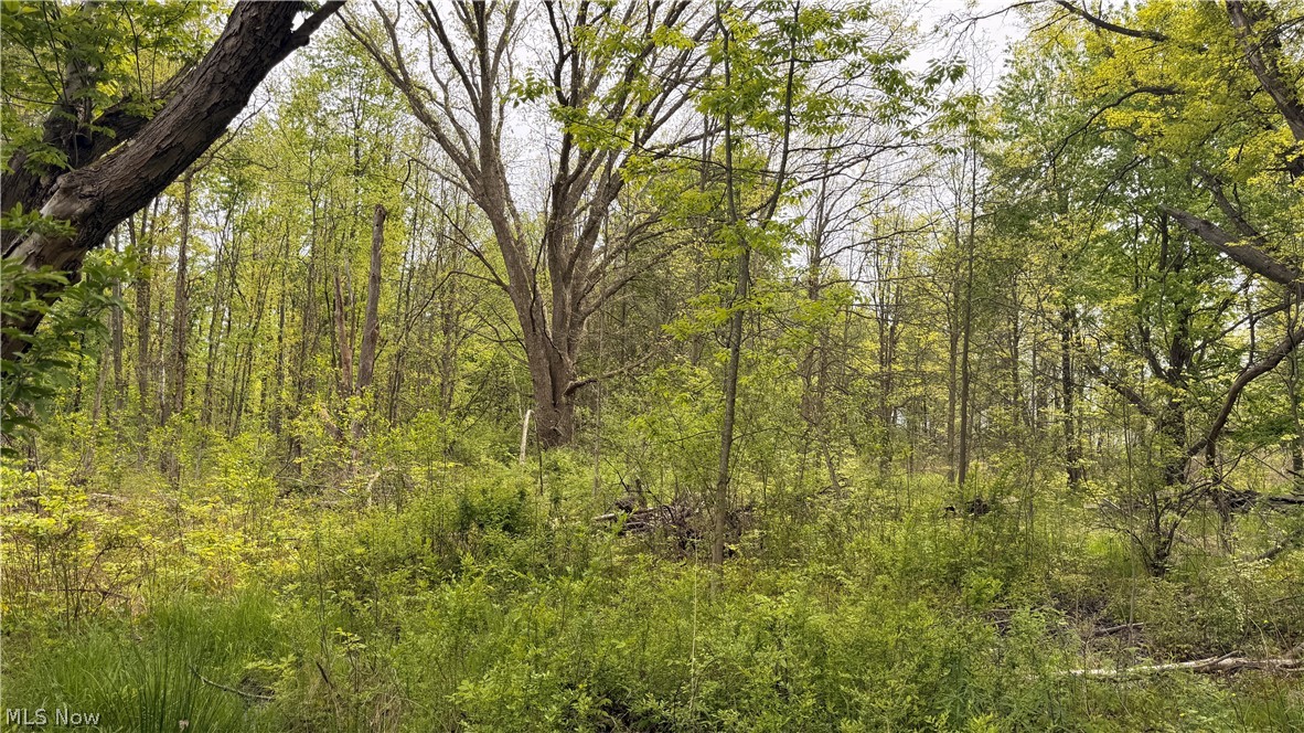 Youngstown Kingsville Road