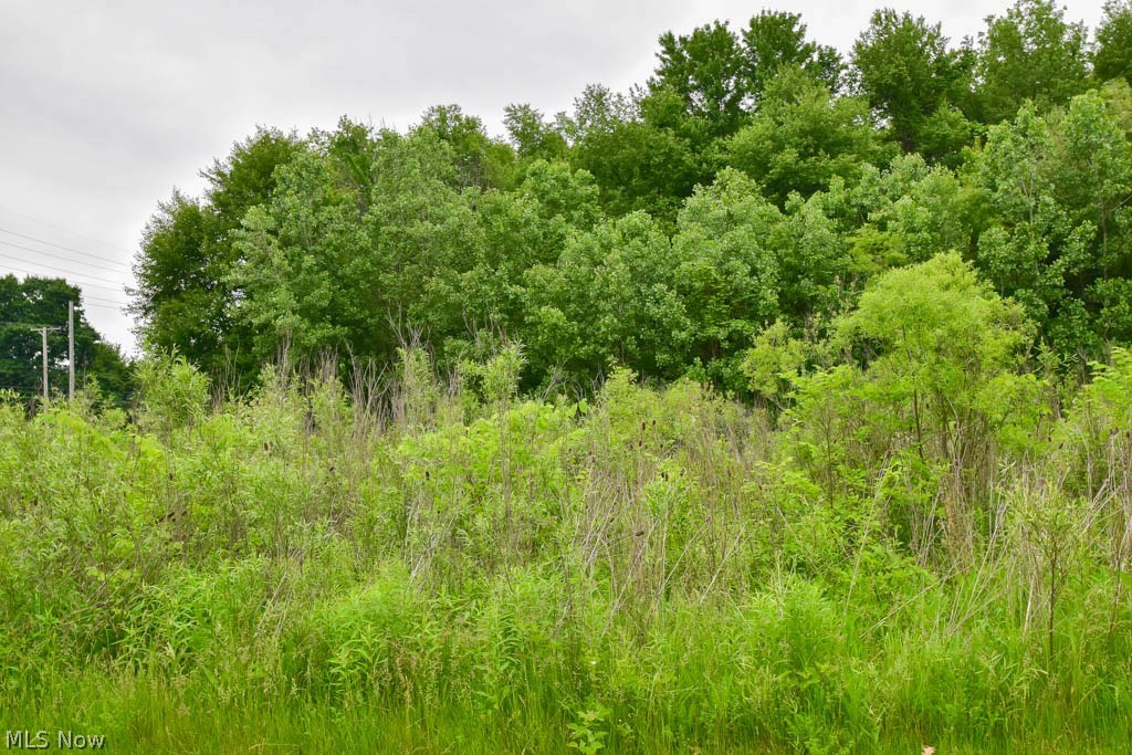 Build your dream home on nearly an acre in Green Schools! Situated on a corner lot in beautiful Fox Ridge neighborhood! Located a short drive from Portage Lakes. Can be combined with parcel #2813453 for $108,000 - total taxes for both lots $4,683. Call today!
