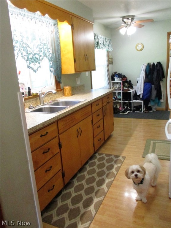 43 & 45 Silvieus/ 2nd Add - Residential