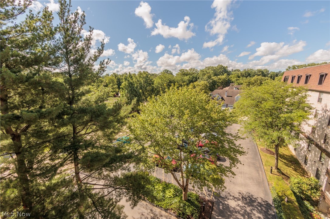 James Place Condo - Residential