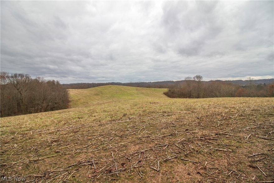 Enjoy Muskingum River views on this incredible Washington County Farm.  Approximately 22 acres of tillable ground with the remainder in timber and mowed frontage.  Amazing big buck sign on this farm.  Potential for multiple build sites.  Approximately 1900 Ft. of frontage along Ohio St. Rt. 60.