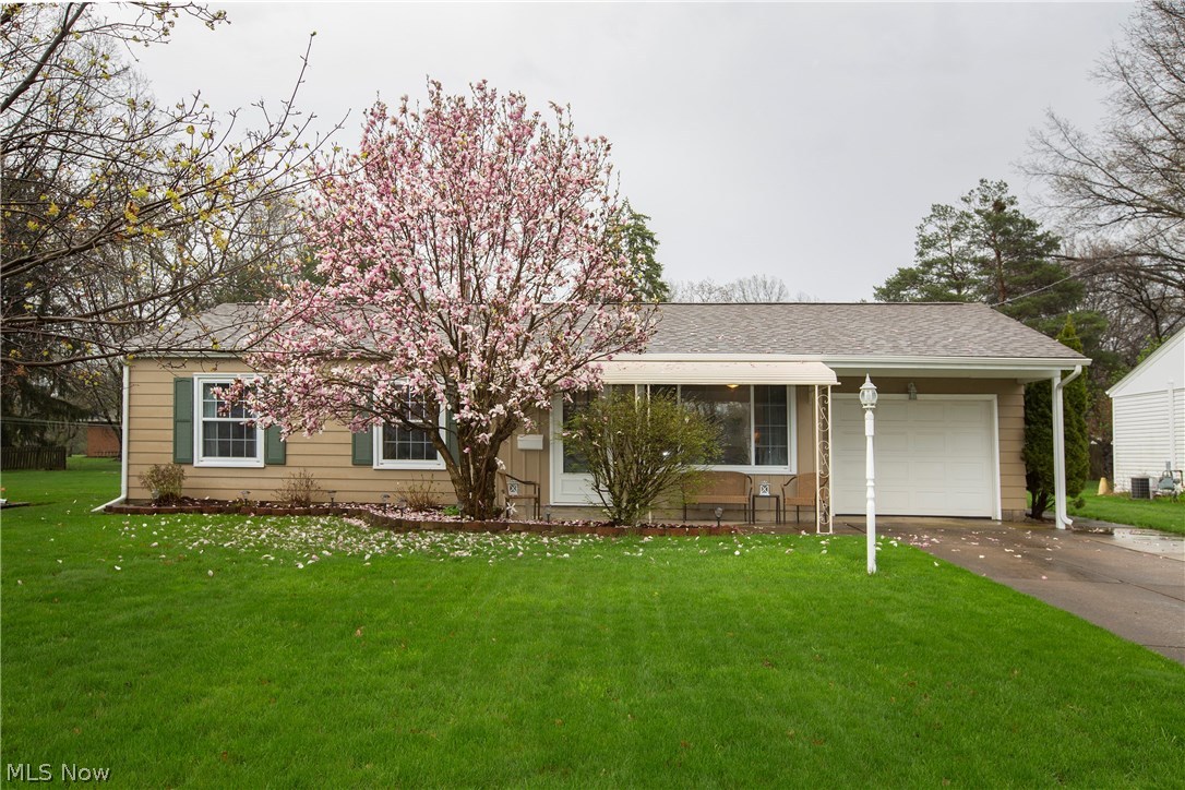 Prepare to be Moved!...Into this charming ranch home in the Amherst School District! Step from the welcoming covered front porch into an open and airy living room with plenty of windows providing light. Cozy eat-in kitchen with ceiling fan and durable laminate flooring has charming rich cabinets and crisp white countertops. A door provides easy access to the back patio for grilling. Three carpeted bedrooms, all with ceiling fans, share the full bath. A laundry/utility room is just steps away! The spacious back yard offers plenty of room for family activities and an oversized shed for storage of your lawn toys. Convenient attached garage. Quiet, private neighborhood, yet minutes from schools, shopping and freeways. Schedule your appointment to see this Lorain delight today!