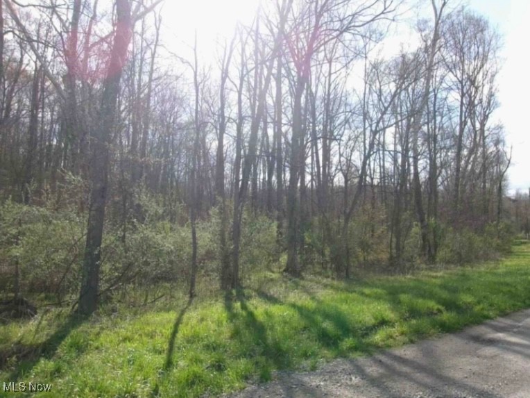 Sonne-kolb Road, Oak Hill, Ohio image 3