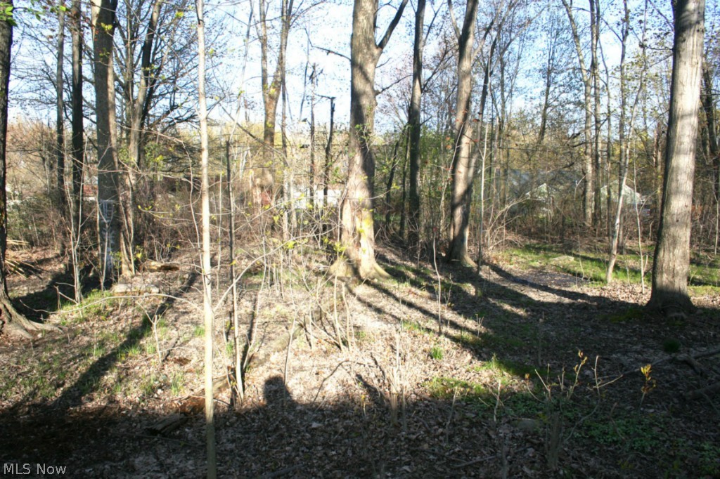 Center Ridge Heights - Residential