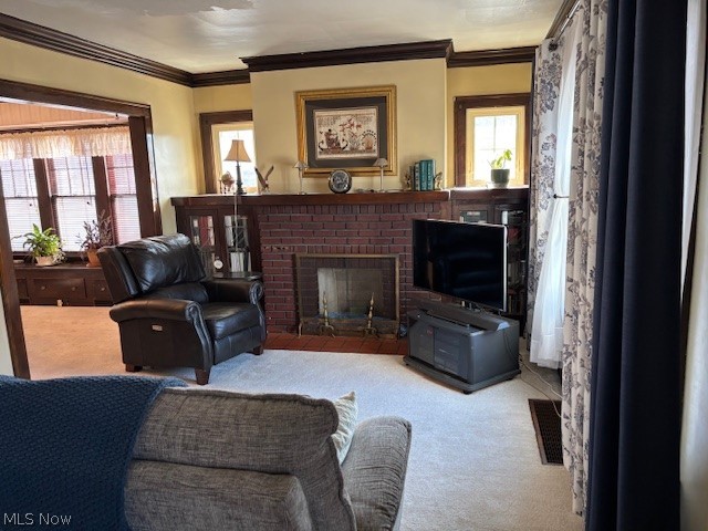 Traymore Estates - Residential Income