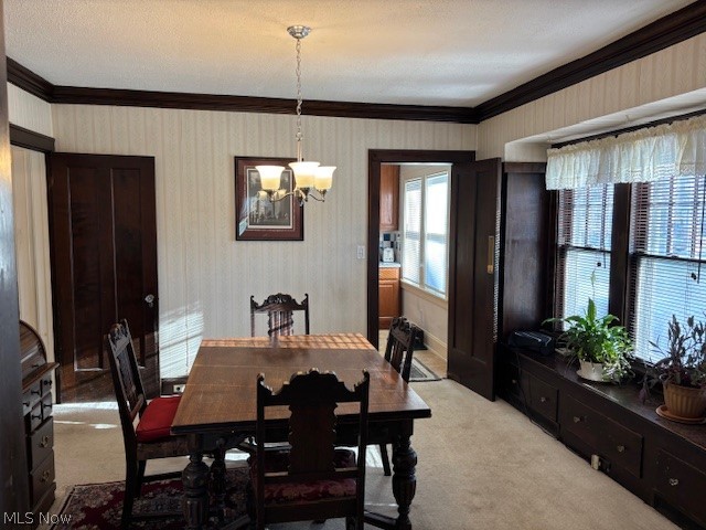 Traymore Estates - Residential Income