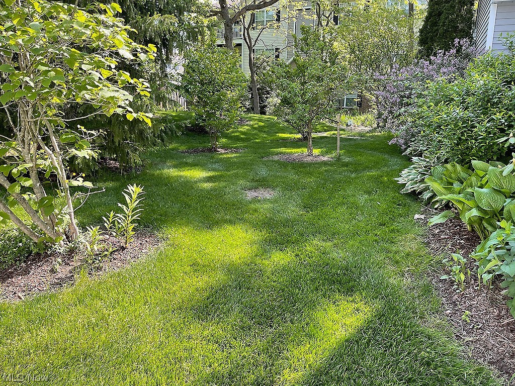 Prescott Commons Condo - Residential