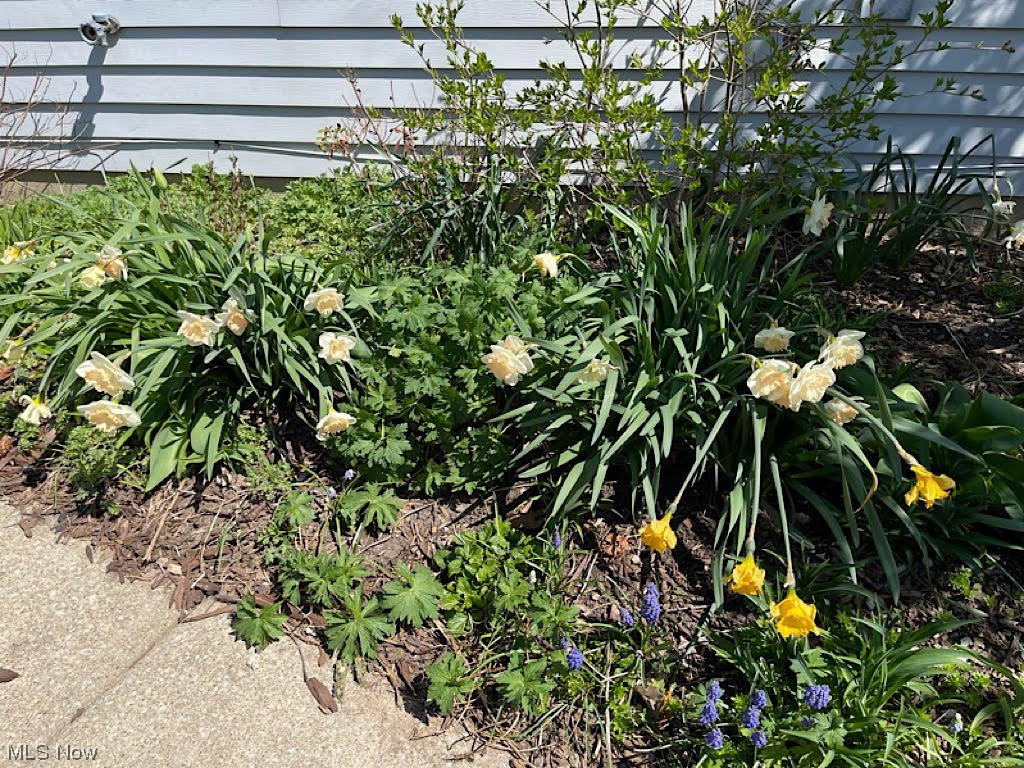 Prescott Commons Condo - Residential