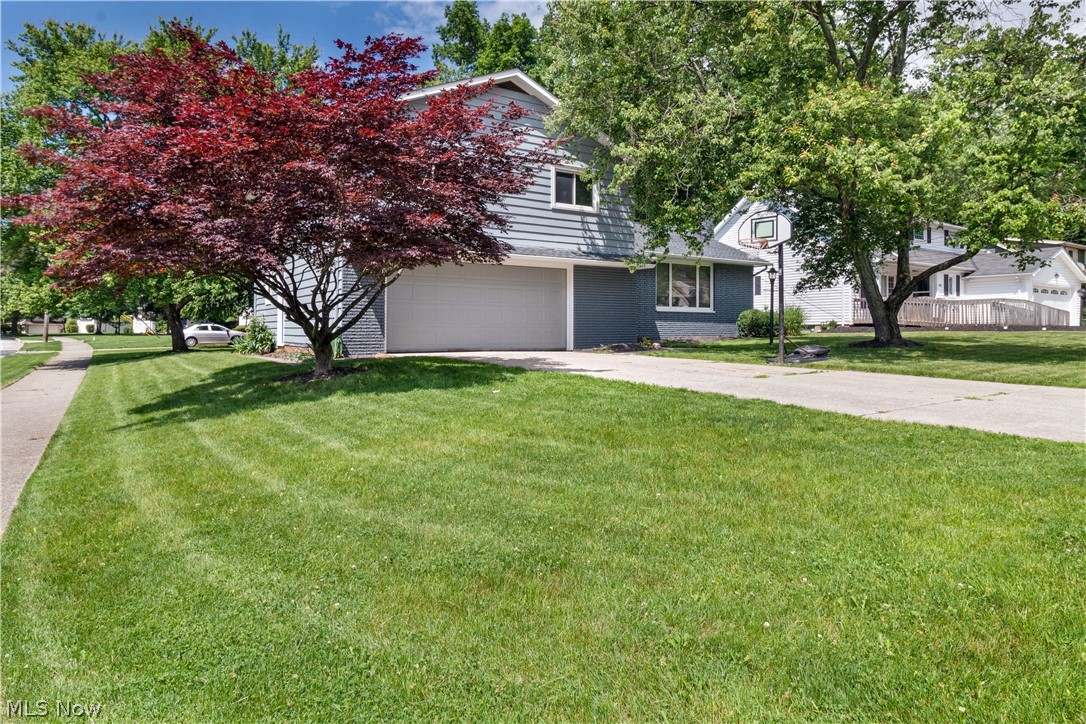 Wm Ruples 05 - Residential