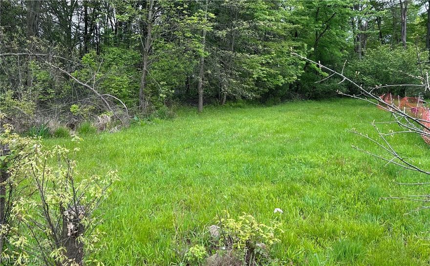 Land is ready to be cleared at your discretion. Buyer must do their own due diligence if buying this property. Direct all questions to the Youngstown zoning department.