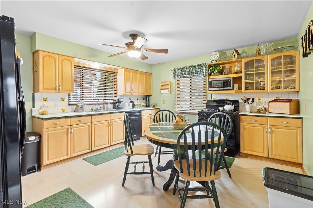 5225 Roseside Drive, Parma, Ohio image 10