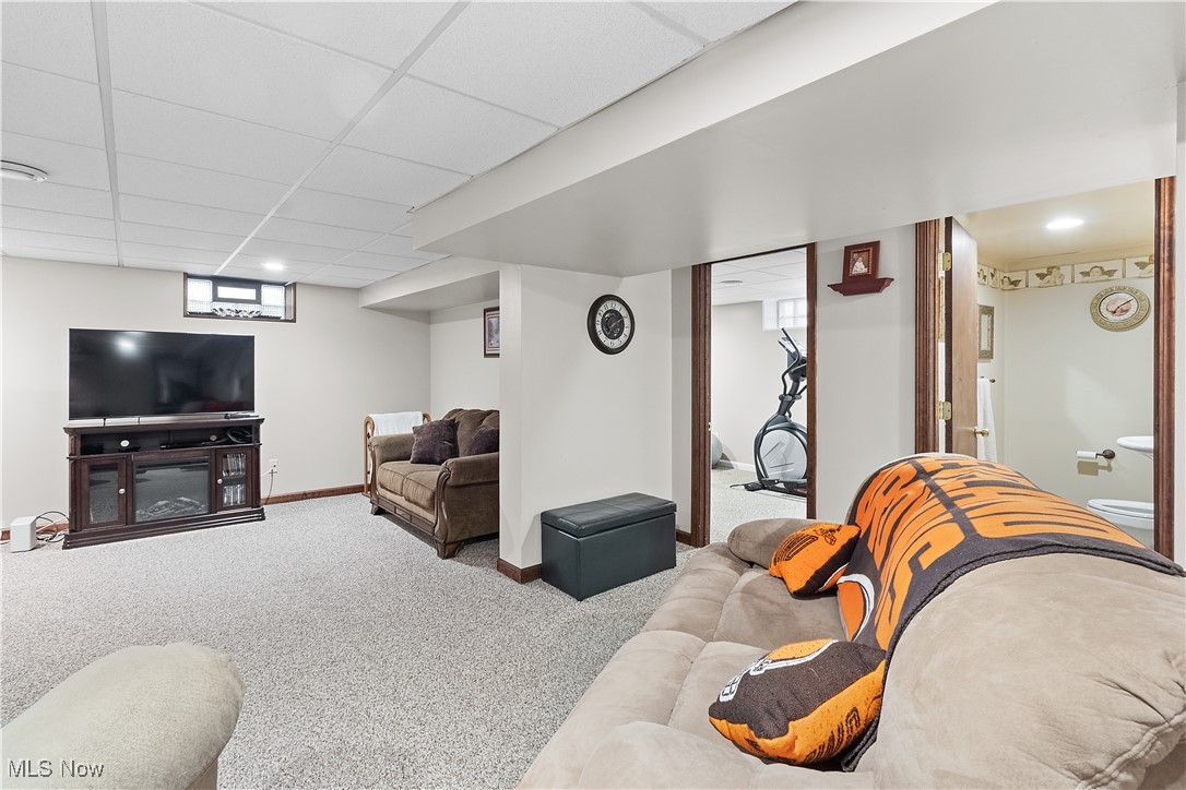 5225 Roseside Drive, Parma, Ohio image 19