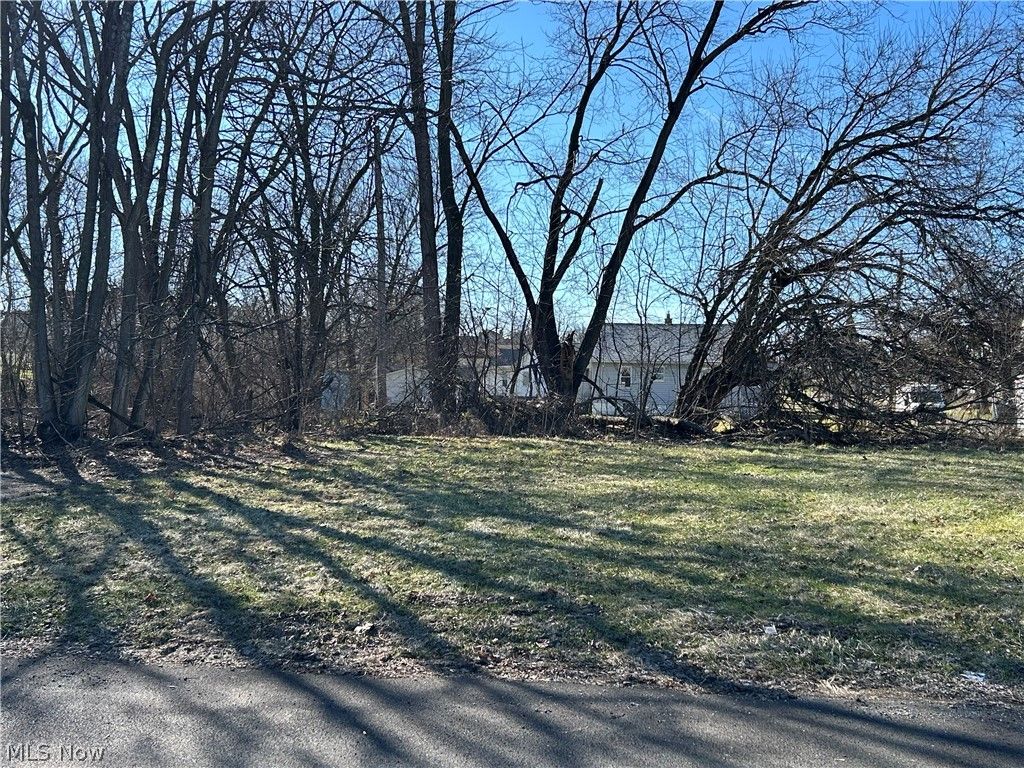 Photo of Midland Avenue, Youngstown, OH 44509 (MLS # 5192874)