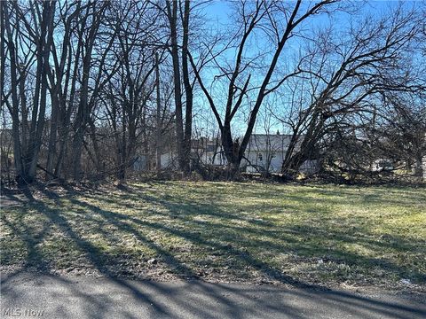 Vacant Land For Sale - Midland Avenue<br/> Mahoning County, Youngstown, OH 44509