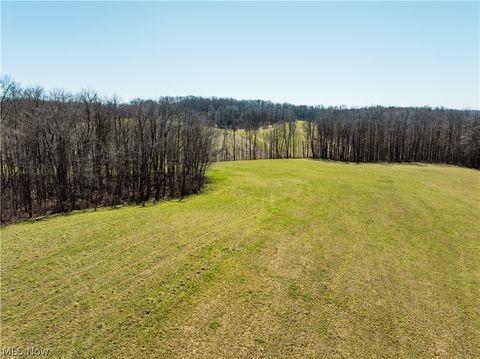 Vacant Land For Sale - Burrier Road<br/> Jewett, OH 43986