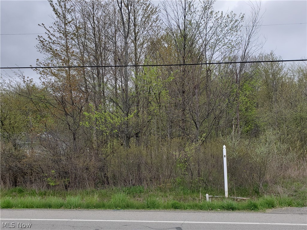Nice wooded lot in Midview school district there is 3.24 acres over 1400 foot deep. Water, gas and sewer are available to tap into on this lot. Just south of Rt 82 (Royalton Rd) At the back of the land there is a gas easement and wetlands on the property. Due diligence needed to see if lot is build-able.