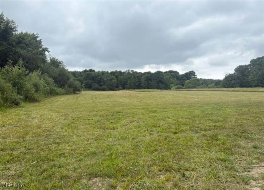 PRIVATE RETREAT! Featuring 292 ft of frontage, a 300-ft gravel driveway leading to a private clearing, and wooded frontage for peace and seclusion. Septic plan and soil testing are already completed and paid, plus 12 swamp mats provide easy access. Close to shopping and dining, freeway access, Brant’s Apple Orchard, wineries, and the historic covered bridges—don’t miss this chance to build your dream home here!