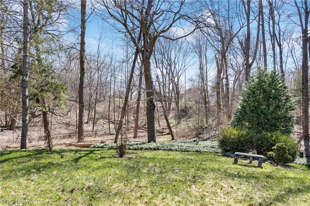 Shady Lane - Residential