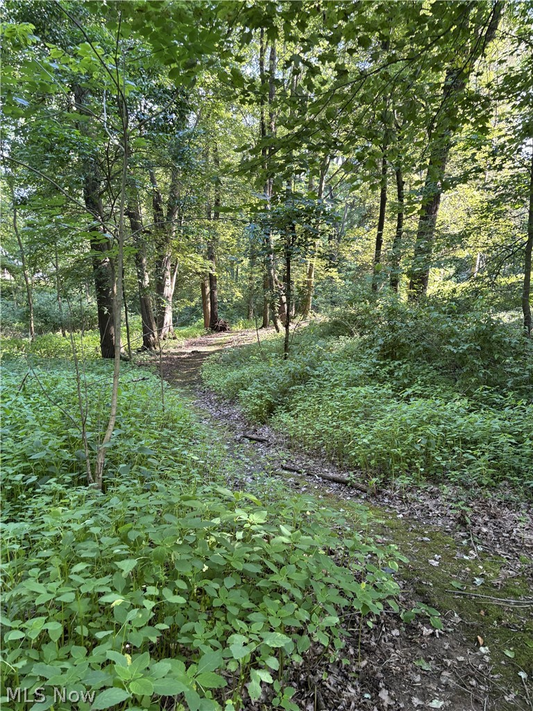 Shady Lane - Residential