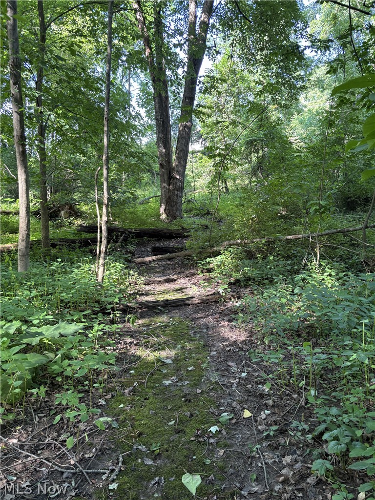 Shady Lane - Residential