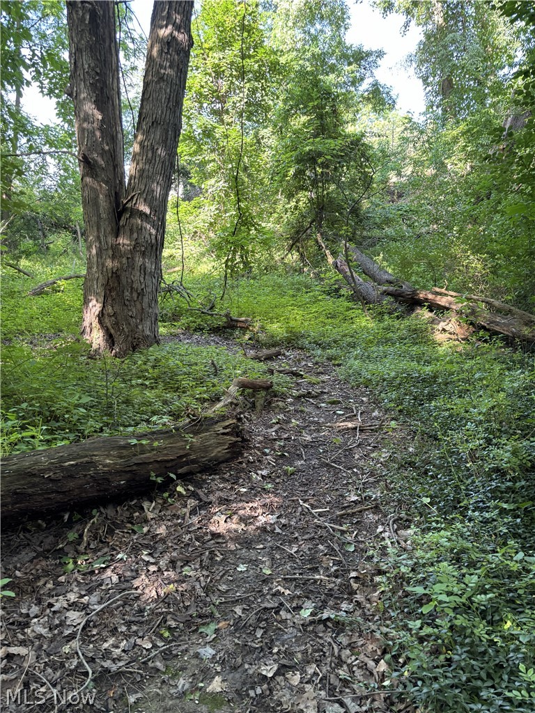 Shady Lane - Residential