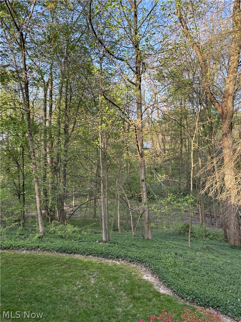 Shady Lane - Residential