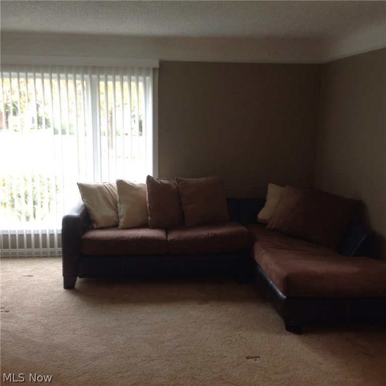 Shaker View - Residential