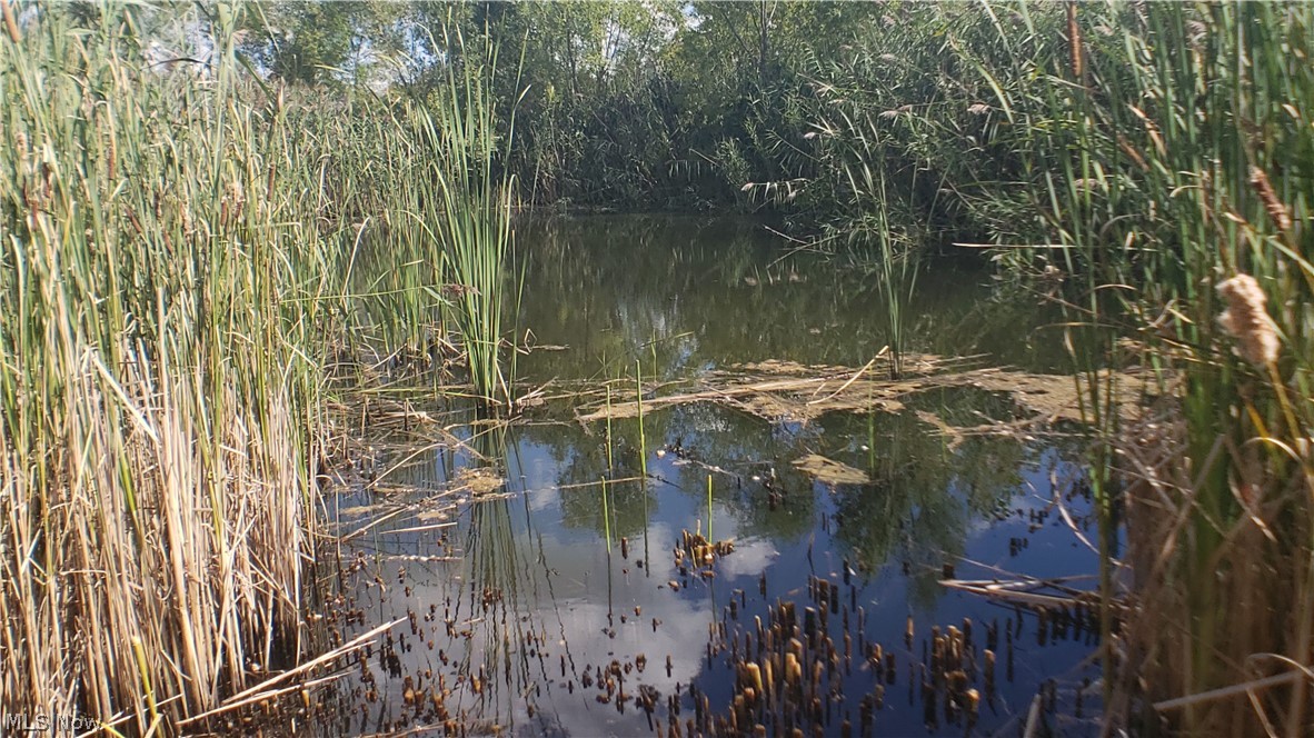 Summerset Woods Sub - Residential