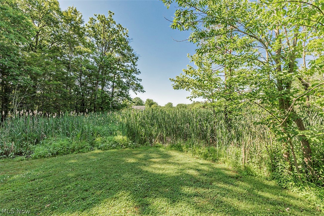 Squires Woods 02 - Residential