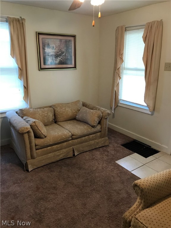 Fruitland Park Allotment - Residential