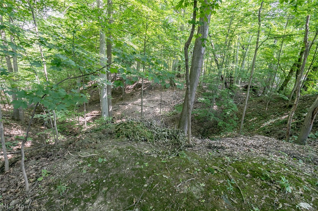 Parkview Mdws - Residential