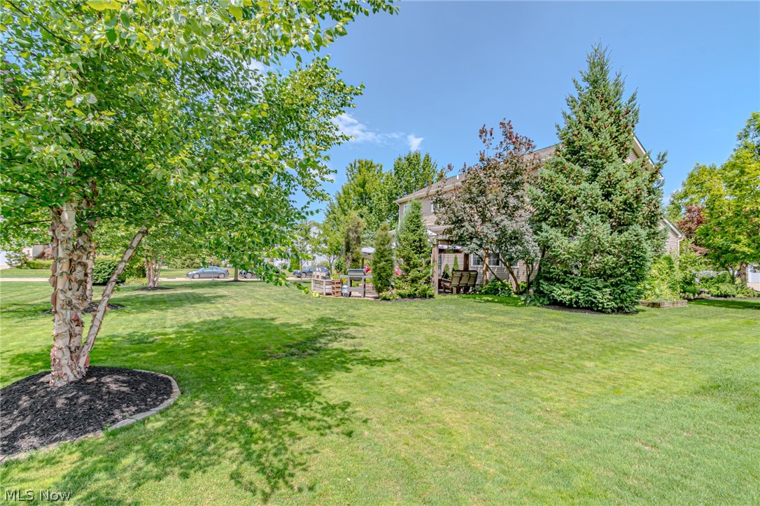 Newell Creek Sub - Residential