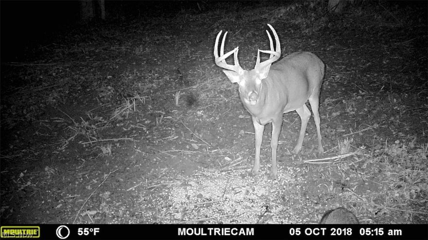 22.784 vacant acres. All wooded acreage. Very nice building site with views of the river and valley below. Lots of wildlife and hunting should be excellent. River flows through property. Easy commute to St. Clairsville, Ohio. Located on dead end road. Mineral rights do not transfer and annual taxes are $227.50.