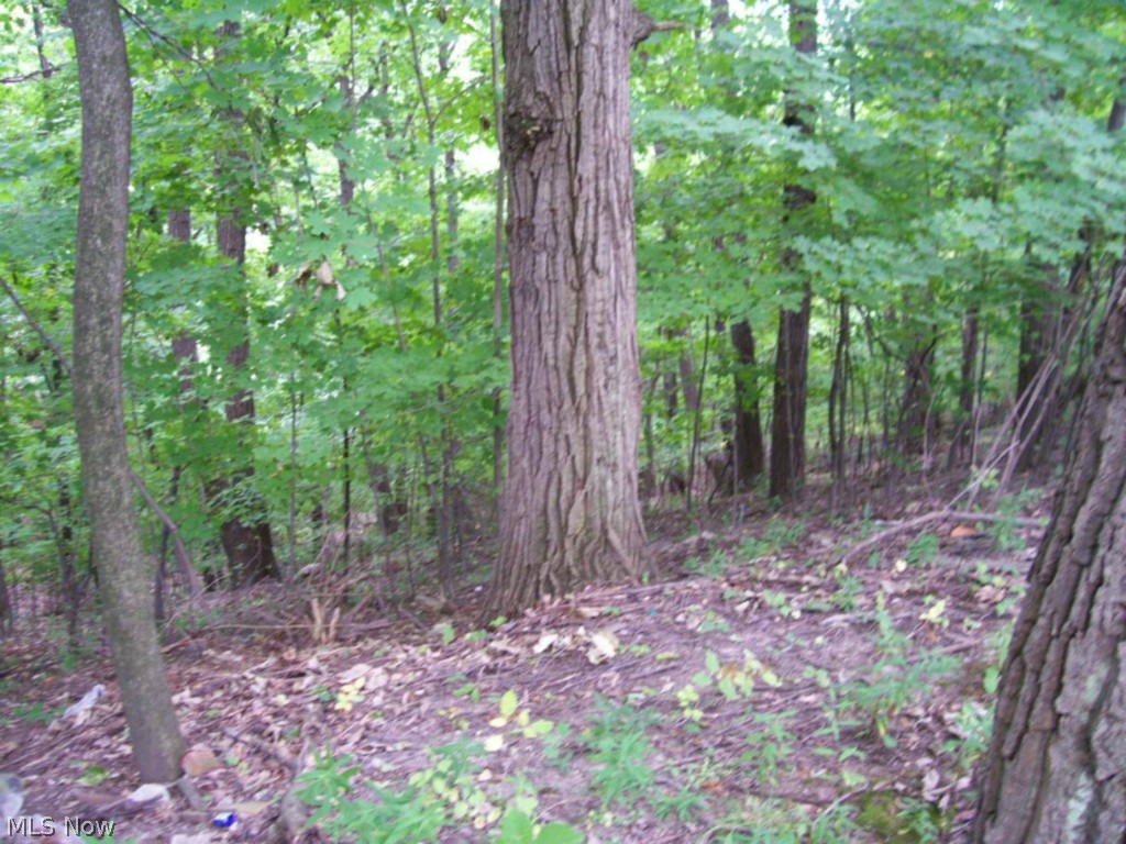 Highland Terrace Allotment/C C Hil - Residential Income