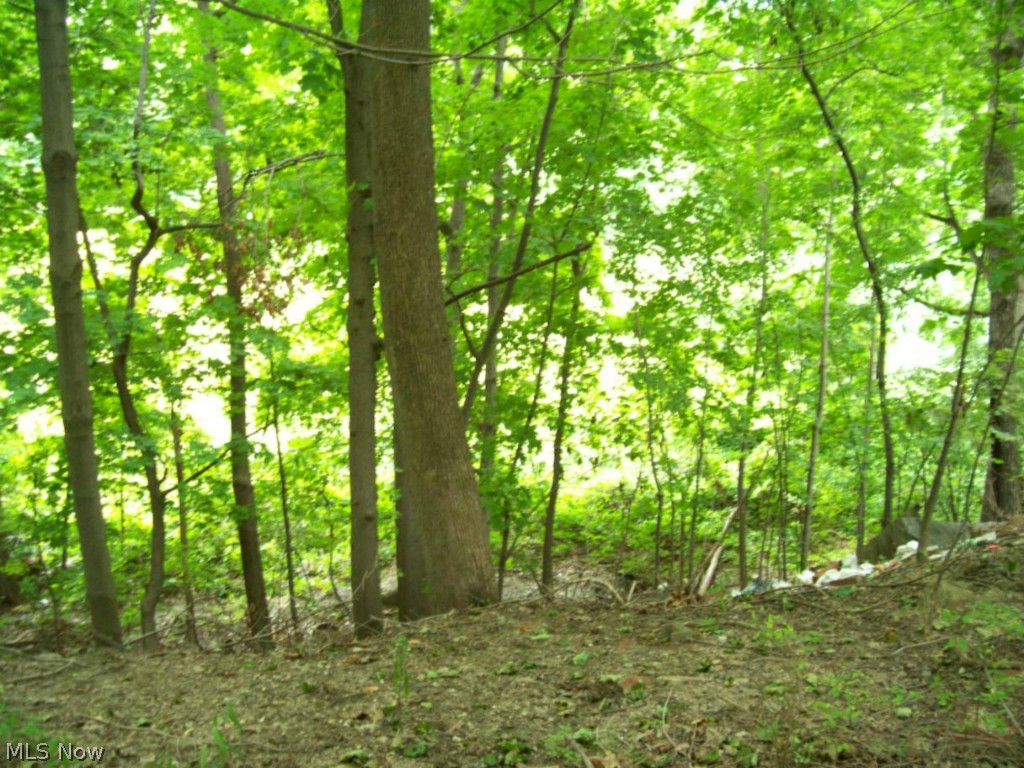 Highland Terrace Allotment/C C Hil - Residential Income