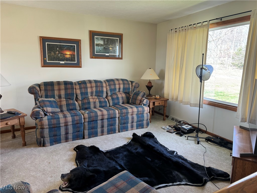 5558 Force Road, Shreve, Ohio image 10