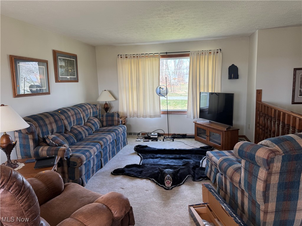 5558 Force Road, Shreve, Ohio image 13
