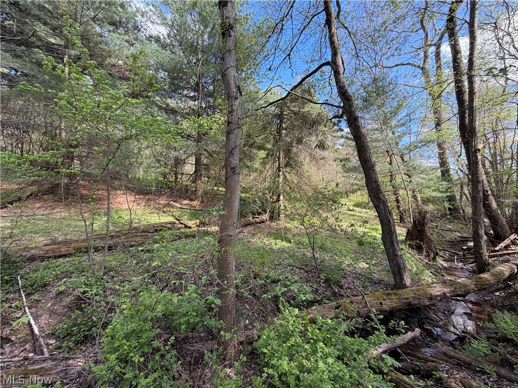 Sunset Heights - Residential