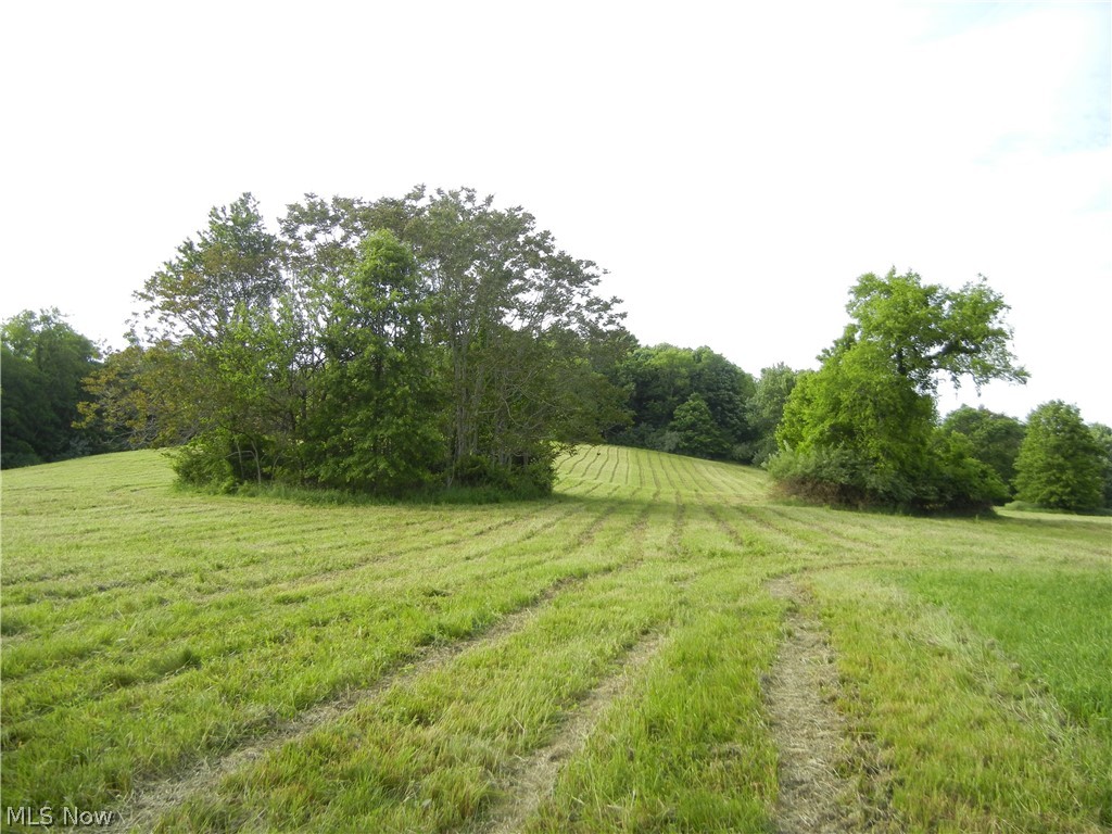 Photo 1 of 11 — E Jackson Street, Millersburg, OH 44654