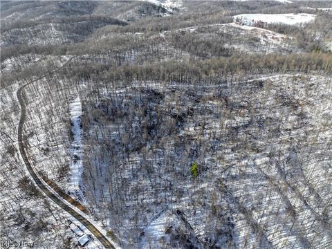 Vacant Land For Sale - Tract 9 Township Rd 272<br/> Lewisville, OH 43754