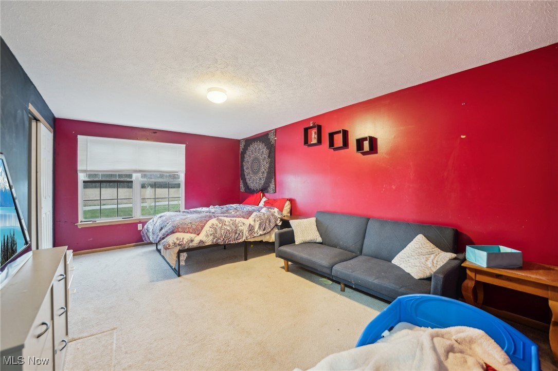 13277 Bursley Road, Spencer, Ohio image 13
