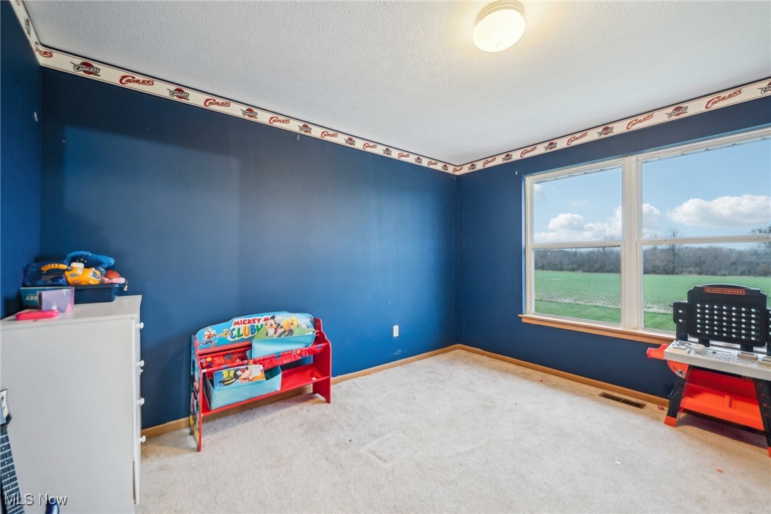 13277 Bursley Road, Spencer, Ohio image 18