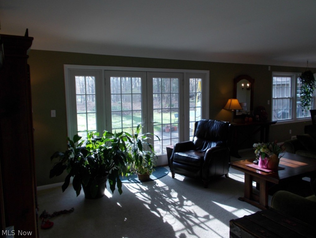 Wilson Mills Colony 03 - Residential