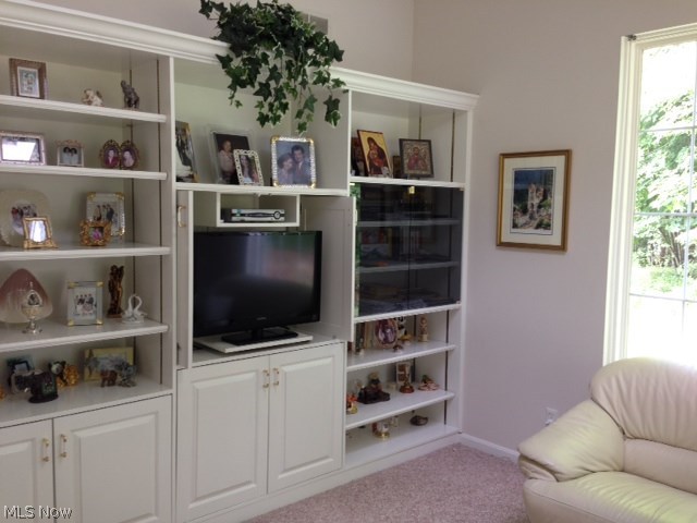 Stonebrooke Condo - Residential